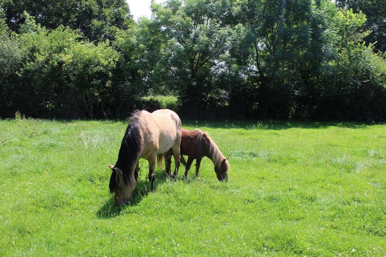 La Ferme De La Croix Villa Saint-Quentin-Lamotte-Croix-au-Bailly ภายนอก รูปภาพ