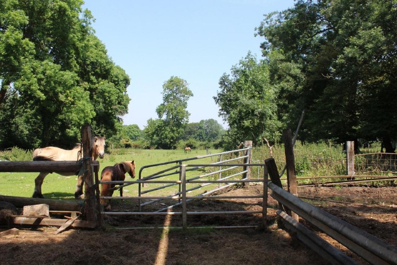 La Ferme De La Croix Villa Saint-Quentin-Lamotte-Croix-au-Bailly ภายนอก รูปภาพ