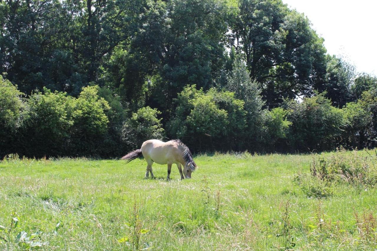 La Ferme De La Croix Villa Saint-Quentin-Lamotte-Croix-au-Bailly ภายนอก รูปภาพ