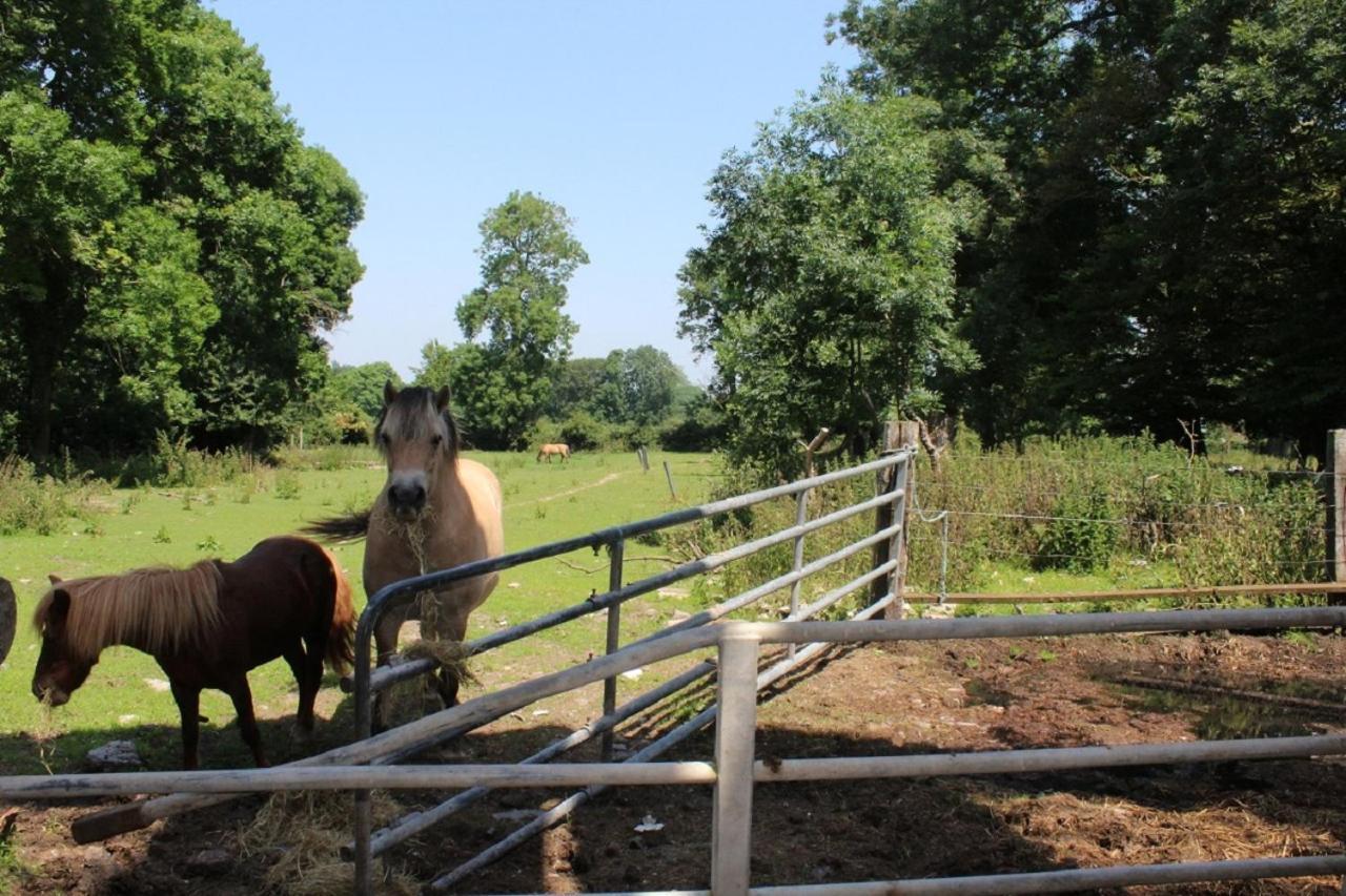 La Ferme De La Croix Villa Saint-Quentin-Lamotte-Croix-au-Bailly ภายนอก รูปภาพ